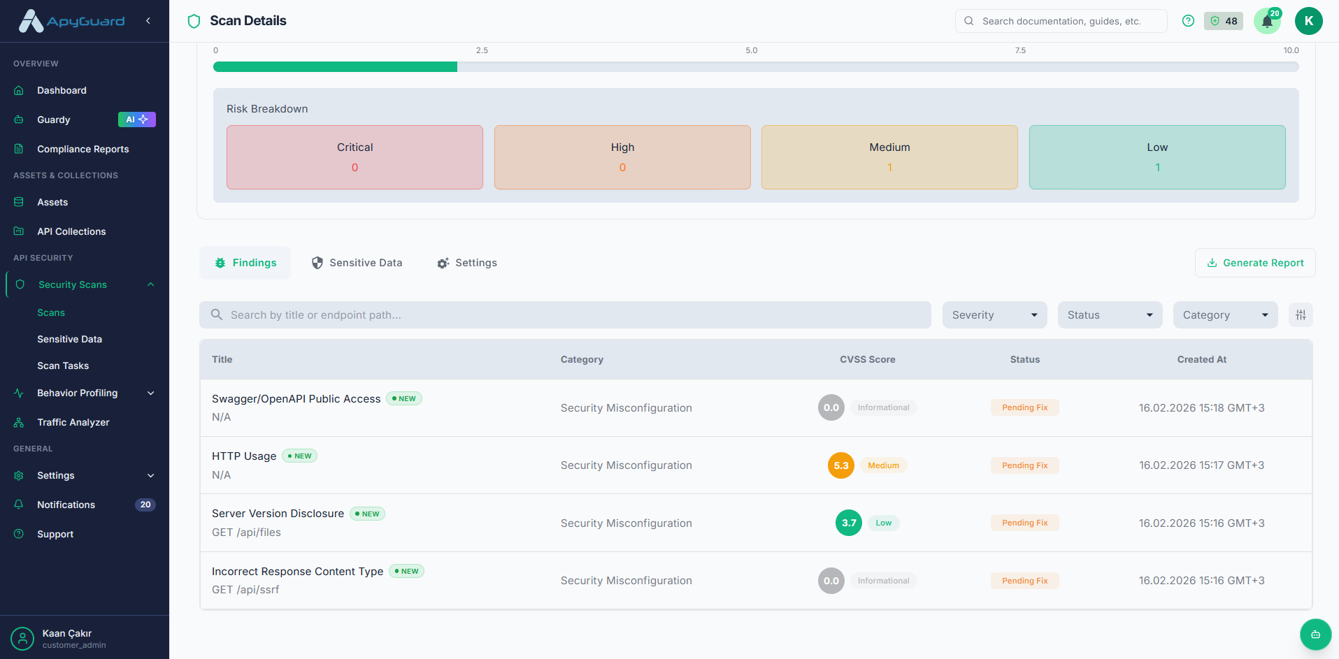 ApyGuard vulnerability findings grouped by endpoint and severity